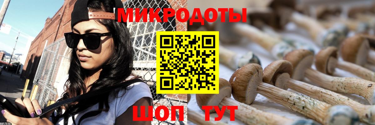 Хасавюрт  Галлюциногенные грибы ЛСД  Вход с VPN 