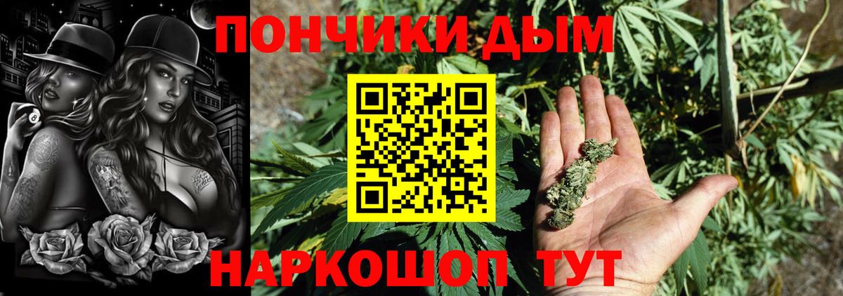 Бошки марихуана Bruce Banner Хасавюрт